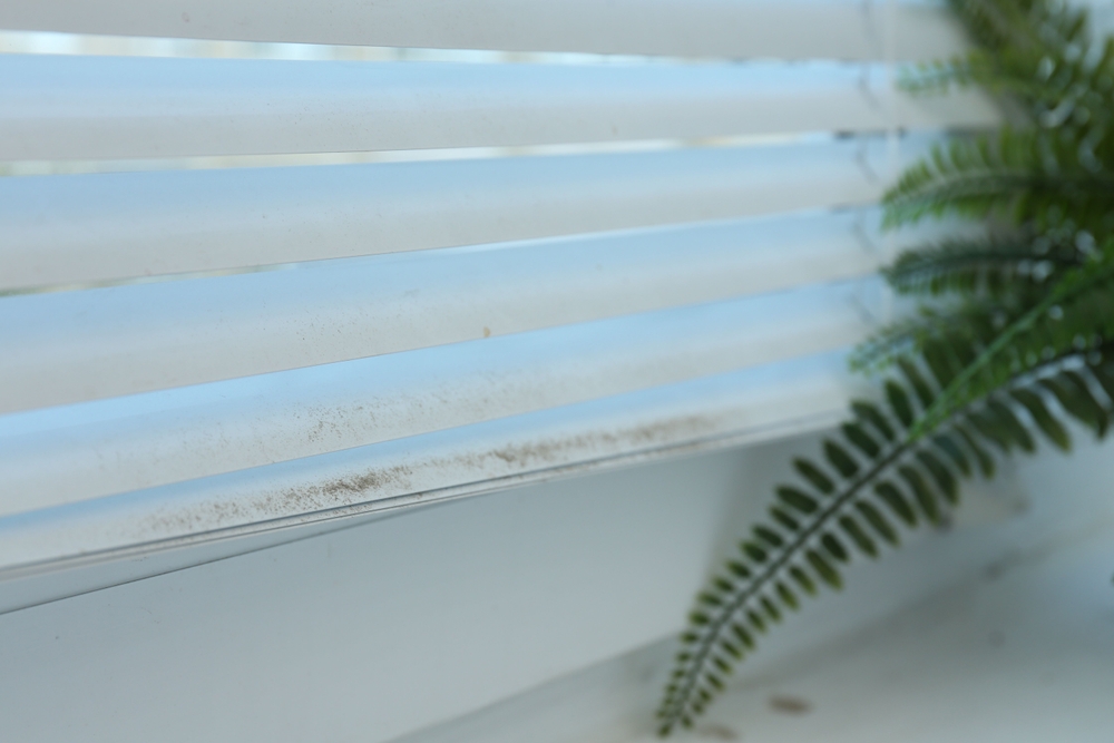 dusty window sill