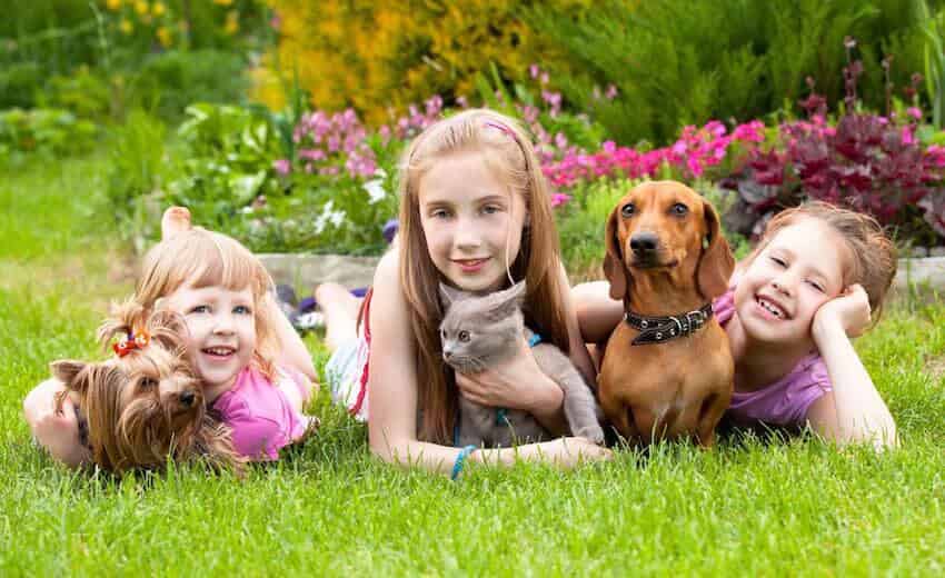 Three children with pets on the grass