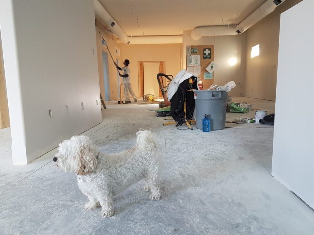 post renovation cleaning