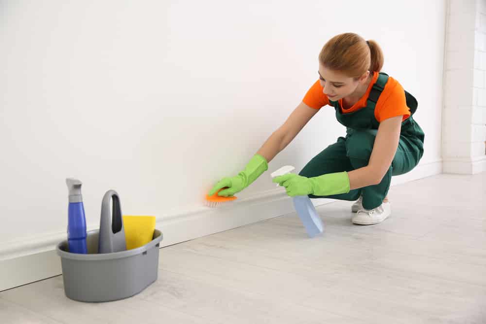 https://whiteglovecleaner.com/wp-content/uploads/2022/06/house-deep-cleaning.jpg