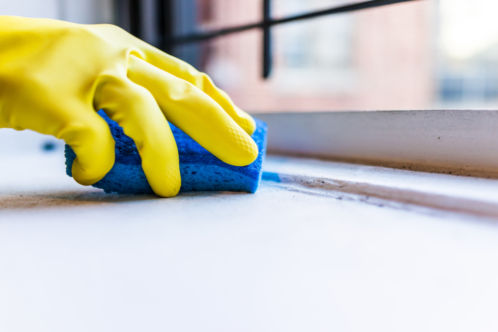 cleaning nyc apartment